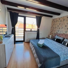 Panoramic View Apartment Buşteni