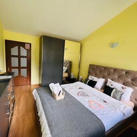 Panoramic View Apartment Buşteni