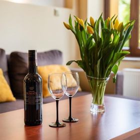 Karkonosky Apartamenty - Huta Szkła Szklarska Poręba