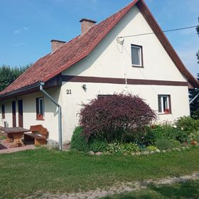 Między lasem a jeziorem Czarnówka
