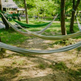 Centrul de Călărie Casa Pascu Budești