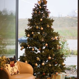 Hotel Essence Pogány