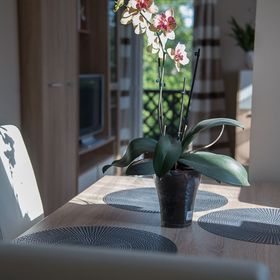  Orchidea Apartman Balatonkenese