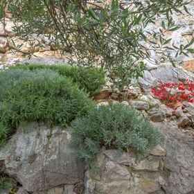 Apartment Mladen Drage