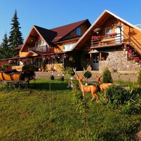 Cabana Măgura Punct Gastronomic Local Poiana Negrii