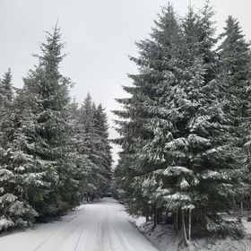 Casa de oaspeți Tamás Sâncel