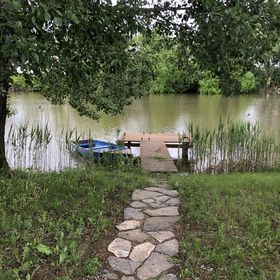 Bedőlt Fa Horgásznyaraló Gyomaendrőd