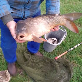 Művészház Nyaraló Békésszentandrás