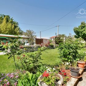 Apartmani Paradinović Zambratija