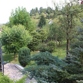 Green Garden Apartments Borșa