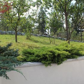 Green Garden Apartments Borșa