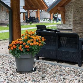  Apartamenty Leśna7 Sztutowo