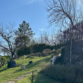 Apartman Buzet - CIS354