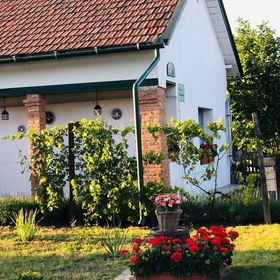 Kupica Vendégház Abádszalók