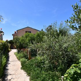 Apartments Petra Fazana