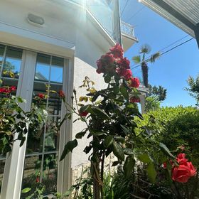 Apartmani Toma Crikvenica