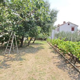 Apartments Teljega Baska
