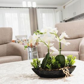 City Oasis Apartment Sibiu