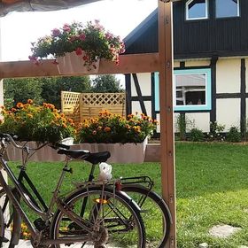 Domki Przy Pracowni Wytowno