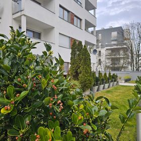 visit baltic - Platan Family CH12