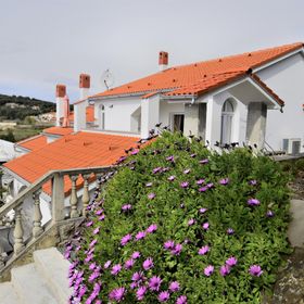 Apartment Vidas Palit