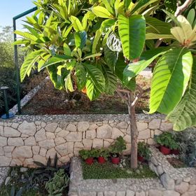 Apartmanok Parkolóhellyel Brela, Makarska - 18417 Brela