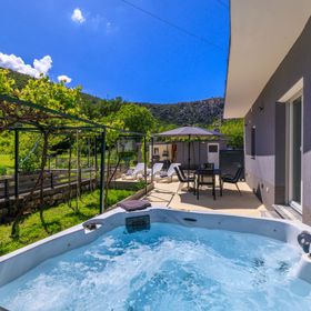 House Amnis Drivenik