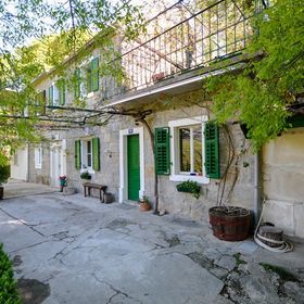 Apartment Nature Slime