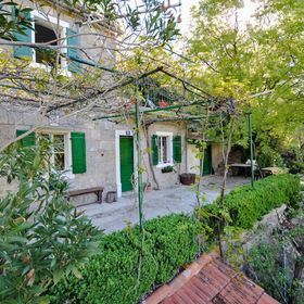 Apartment Nature Slime