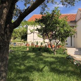 Apartments Ružica Lukoran