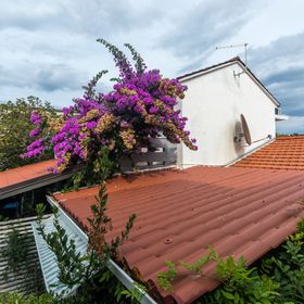 House Zeljko Sucuraj