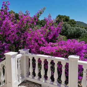 Apartment Vanja Mali Losinj