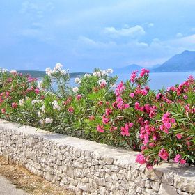 Apartment Ennio Povlja