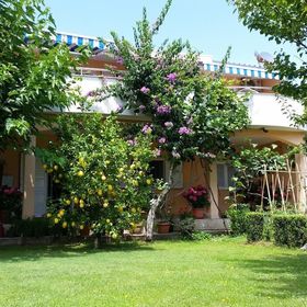 Apartments Ivo Kastel Stafilic