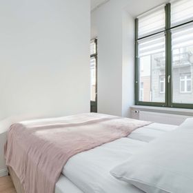 Radwańska 12 | Jasne studio | Przyjazne zwierzętom Łódź