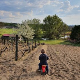 Szőlőskert Vendégház Vajta