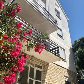 Apartments Kate Zaton II