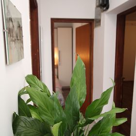 Apartments Alba Adria Poreč