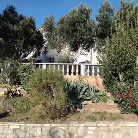 Apartment Anchi Povile