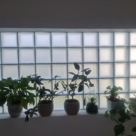 Apartment Anea Marina