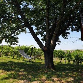 Balatoni Présházikó Szőlősgyörök