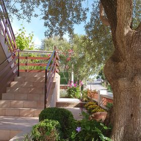 Apartments and Room Anica & Marko Supetarska Draga