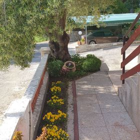 Apartments and Room Anica & Marko Supetarska Draga