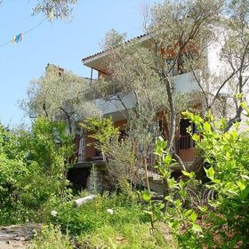 Apartment Griv Valun