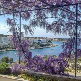 House Marija Kanica II