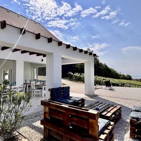 Antmann Bor Terasz Szállás Balatoncsicsó