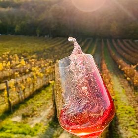 Antmann Bor Terasz Szállás Balatoncsicsó