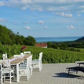 Antmann Bor Terasz Szállás Balatoncsicsó