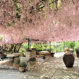 Rooms Orietta Savudrija