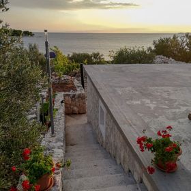 House Robinson house Dolac